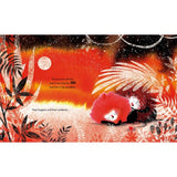 Angry As A Lion - Picture Story Book