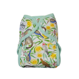 Seedling Baby 7 pack of Multi-Fit Pocket Nappies