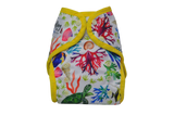 Seedling Baby Multi-Fit Pocket Nappy