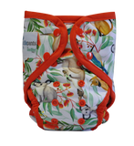 Seedling Baby Paddle Pants (swim nappy) - OSFM