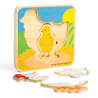Chicken  Life Cycle Layer Jigsaw Puzzle