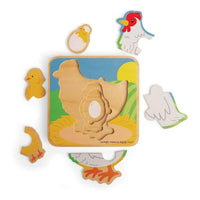 Chicken  Life Cycle Layer Jigsaw Puzzle