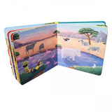 Bernie Bus Board Books